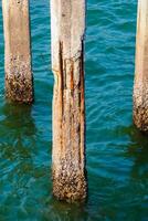 Weathered Concrete Pilings in Turquoise Water with Barnacles and Rust photo