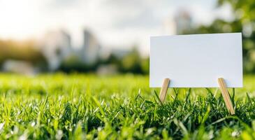 A blank white sign stands in a lush green field, creating a serene backdrop with soft lighting and a blurred city skyline in the distance. photo