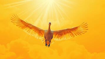 Majestic bird soaring into a golden sky, illuminated by radiant sunlight, symbolizing freedom, serenity, and grace. photo