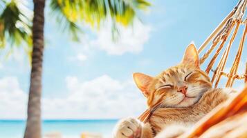 Relaxing ginger cat lounging on a hammock by the beach, enjoying a sunny day with palm trees and clear blue skies in the background. photo