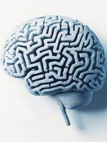 Intricate maze-like brain image representing complex human thought processes, creativity, and neuroscience exploration. photo