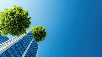 Modern skyscraper with reflective glass windows and green trees under a clear blue sky, representing urban architecture and sustainability. photo