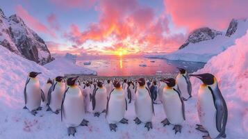 Group of penguins standing on snowy landscape with a vibrant sunrise over icy mountains and sea in the background. photo