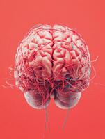 A detailed 3D rendering of a human brain with veins on a vibrant red background, showcasing anatomical complexity and medical imagery. photo