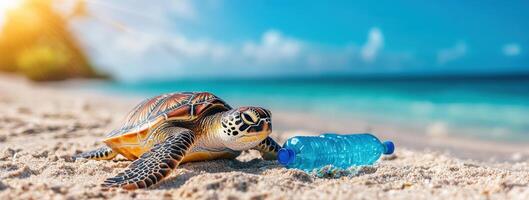 A sea turtle interacts with a plastic bottle on a sandy beach, highlighting environmental pollution and marine life challenges. photo