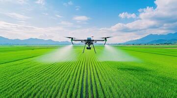 Aerial view of a drone spraying crops in a vibrant green rice field under a clear blue sky, showcasing modern agricultural technology. photo