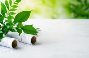 Green leaves accompanied by rolled plans, embodying the concept of eco-friendly design and sustainable architecture. photo