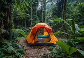 A vibrant tent set up in a lush forest clearing, surrounded by nature photo