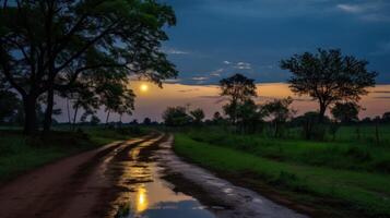 A dirt road winds through a lush green field as the sun sets behind the trees, casting a warm glow on the landscape. photo
