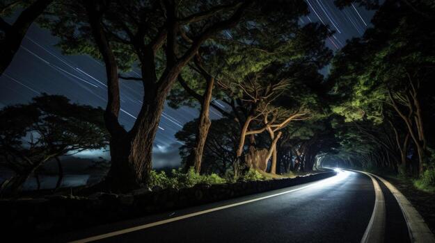 A winding road through a forest with trees lining the way under a starry night sky. photo