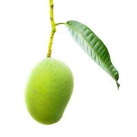 Fresh Green Mango with Leaf and Stem Isolated on White Background with Clipping Path for Easy Editing photo