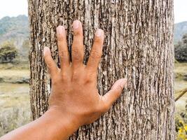 Hand Touching Tree Trunk in Nature, Close-Up of Human Hand on Rough Bark, Connection with Nature photo