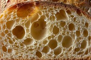 Magnified image of the porous texture of a slice of bread photo