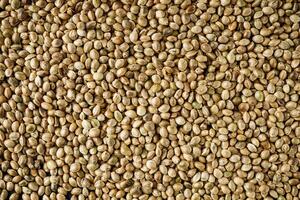 natural hemp seed on black stone background photo