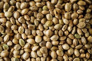 natural hemp seed on black stone background photo