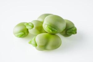 fresh greens broad beans fava on a white background photo