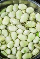 fresh greens broad beans fava boiled on a dark background photo