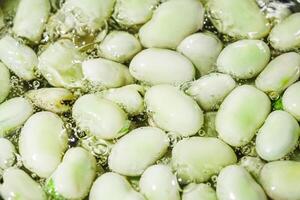 fresh greens broad beans fava boiled on a dark background photo