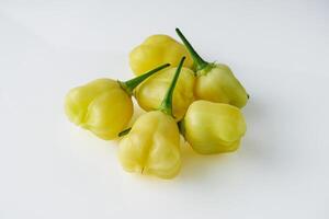 fresh delicious chili pepper aji white fantasy on a white background photo