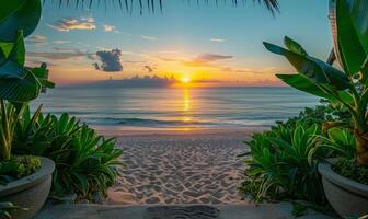 A sunrise over a tranquil beach, viewed from a balcony adorned with lush green plants photo