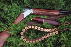 an open hunting rifle with cartridges and a knife in a leather case, lying on the branches of green fir. photo