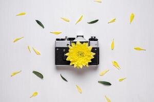 Vintage camera with a yellow flower instead of a lens. old camera on a white background. Instead of a lens, a flower with yellow petals photo