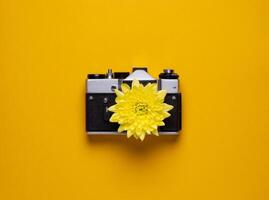 Vintage camera with a yellow flower instead of a lens. old camera on a yellow background. Instead of a lens, a flower with yellow petals photo