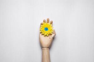 A yellow flower with a blue heart rests on a wooden hand. Colors of the flag of Ukraine. Light back. photo