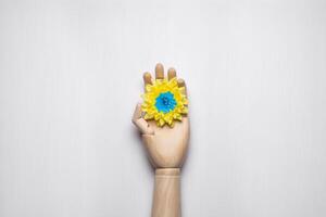 A yellow flower with a blue heart rests on a wooden hand. Colors of the flag of Ukraine. Light back. photo