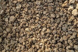 Texture of small shell rock. Background of small cobblestones and fragments of shell rock. photo