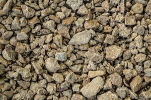 Texture of small shell rock. Background of small cobblestones and fragments of shell rock. photo
