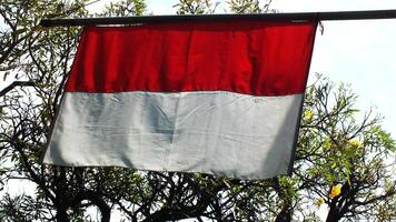 Indonesia flag Sang Merah Putih is hanging from a pole in front of tree background. The Hari Kemerdekaan. Independence Days photo