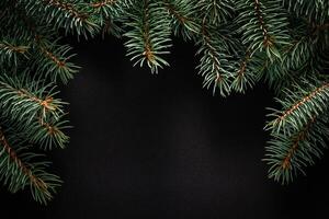 Christmas green frame from fir branches on a black board background. Frame of fir branches. Christmas card blank. photo