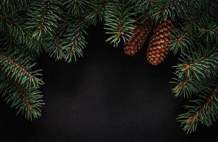 Christmas green frame from fir branches on a black board background. Frame of fir branches. Christmas card blank. photo