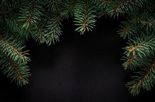 Christmas green frame from fir branches on a black board background. Frame of fir branches. Christmas card blank. photo