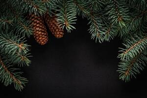 Christmas green frame from fir branches on a black board background. Frame of fir branches. Christmas card blank. photo