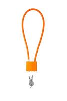 Locks and keys used to safely secure a firearm from being used. Weapon cable lock. photo