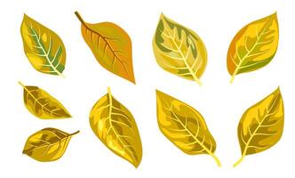 Illustration of bright yellow autumn leaves. Simple graphic style on white background. Concept of autumn and seasonal change. illustration vector