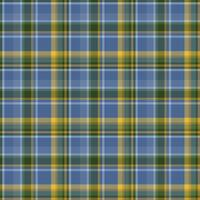 Plaid seamless pattern. background of textile ornament. Flat fabric design. vector