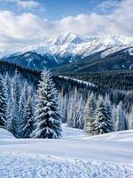 Snow-covered firs against beautiful backdrop of high snow-covered mountains. photo