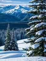 Snow-covered firs against beautiful backdrop of high snow-covered mountains. photo