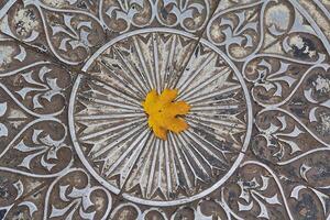 Fallen yellow leaf on a metal surface with a pattern in retro style photo