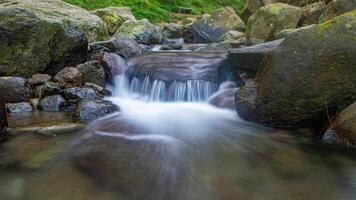 A picturesque cascade flowing gently over mossy rocks, nestled among towering trees. photo