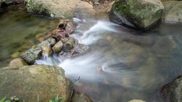 A tranquil stream flows through a dense forest, cascading over smooth boulders. photo
