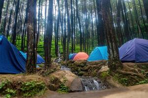 A tranquil forest setting featuring a campsite with tents near a cascading waterfall. photo