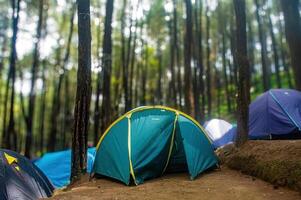 A vibrant green and blue tent nestled among towering pine trees in a serene forest setting. photo