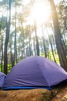 A vibrant purple tent nestled among towering pine trees in a sun dappled forest clearing. photo