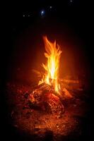 A cozy campfire crackles and glows in the darkness, casting warm light on the surrounding forest. photo