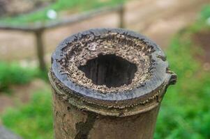 A weathered bamboo tube with a large hole, showcasing the natural beauty of the material. photo