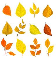 Various colorful autumn leaves in different shapes, illustrated in a vibrant graphic style on a white background, representing fall season. illustration vector